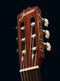 Jasmine Classical Acoustic Guitar - Natural - JC25-NAT