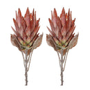 Melrose Orange Protea Flower Stem (Set of 2)