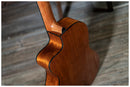 Peavey Delta Woods CNS-CE Classical Nylon String Acoustic-Electric Guitar