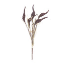 Melrose Seeded Harvest Bush (Set of 12)