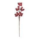 Melrose Beaded Berry Spray (Set of 6)