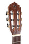 Caballero Europe Senorita 7/8 Classical Guitar - Spruce/Mahogany