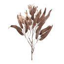 Melrose Glittered Long Leaf Eucalyptus Spray (Set of 6)