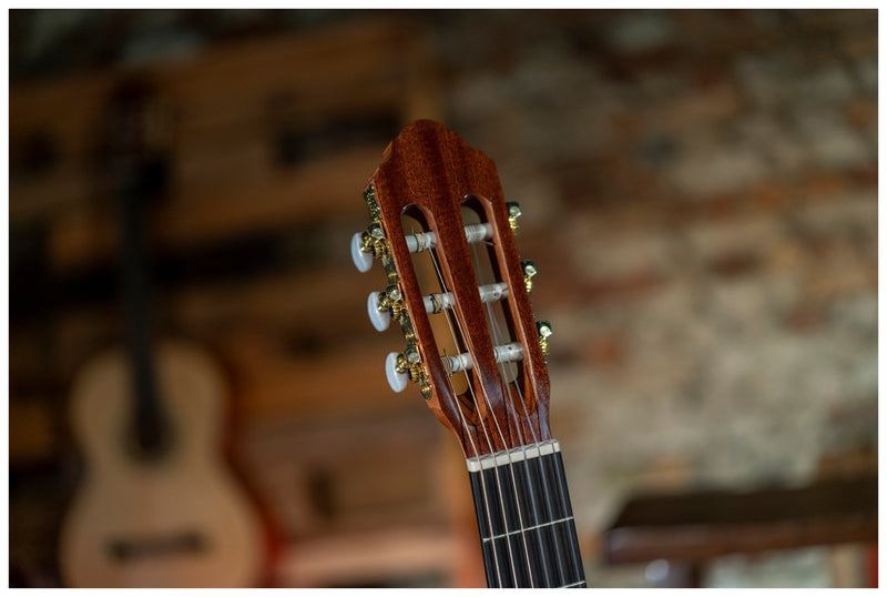 Peavey Delta Woods CNS-CE Classical Nylon String Acoustic-Electric Guitar