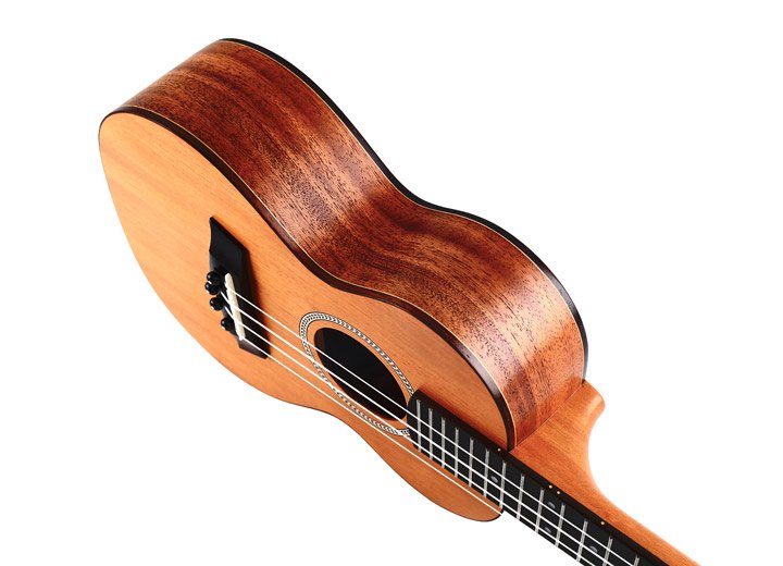 Twisted Wood Rock Roots Series Concert Ukulele - Solid Mahogany - RR‑200C