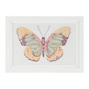 Melrose Framed Bird and Butterfly Wall Plaque, Wood