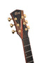 Cort ABSTRACTDELTA Masterpiece Abstract Delta Acoustic-Electric Guitar - Gloss