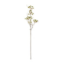 Melrose Winter Berry Pod Spray (Set of 12)