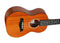 Twisted Wood Rock Roots Series Concert Ukulele - Solid Mahogany - RR‑200C