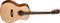 Washburn Woodline Acoustic Electric Guitar - Natural - WLO10SCE