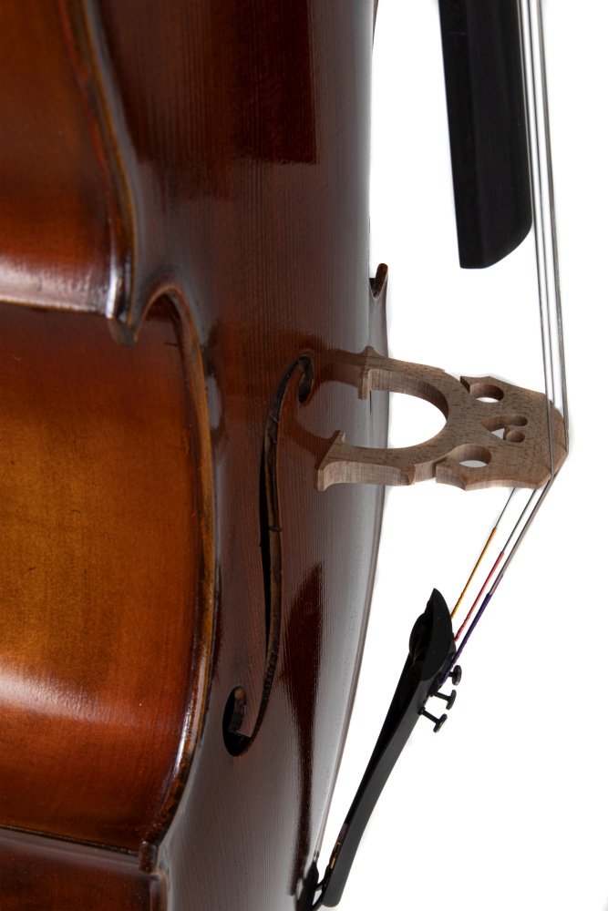 Gewa L'Apprenti VC1 3/4 Cello Antique Finish w/ Aurora Setup & Bag