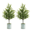 Melrose Potted Mini Pine Tree (Set of 2)