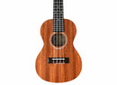 Twisted Wood PI-100C Pioneer Concert Ukulele Laminate Sapele w/ Gig Bag