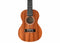 Twisted Wood PI-100C Pioneer Concert Ukulele Laminate Sapele w/ Gig Bag