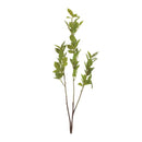 Melrose Leaf Foliage Branch (Set of 6)