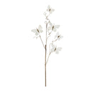 Melrose Butterfly Twig Spray (Set of 4)