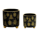 Melrose Footed Pine Tree Planter (Set of 2)