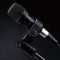 Lewitt DTP 340 TT Dynamic Microphone for Drums