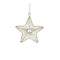 Silver Beaded Metal Star Ornament (Set of 12)