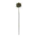 Melrose Brown Sunflower Stem (Set of 6)