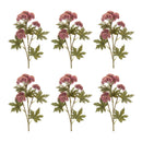 Melrose Sedum Succulent Spray (Set of 6)