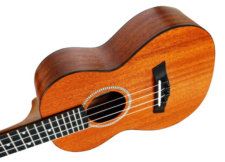Twisted Wood Rock Roots Series Concert Ukulele - Solid Mahogany - RR‑200C