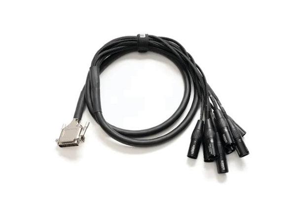 Warm Audio Premier 6' DB25 to XLR Male Breakout Cable – 8-Channel