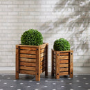 Melrose Boxwood Foliage Orb (Set of 2)