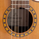 Admira Crossover Electro Cutaway Classical Guitar - Cedar Top w/ Fishman Preamp