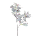 Melrose Lamb's Ear Leaf Bush (Set of 6)