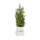Melrose Mini Pine Tree with Berries in Ceramic Pot (Set of 2)