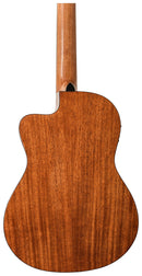 Peavey Delta Woods CNS-CE Classical Nylon String Acoustic-Electric Guitar