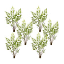 Melrose Varigated Fern Bundle with Sprout Accents (Set of 6)