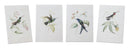 Melrose Tabletop Encyclopedia Hummingbird Print Wall Decor, Modern, Wood