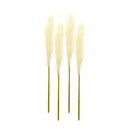 Melrose Cream Pampas Gass Stem (Set of 4)