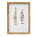 Melrose Wood Framed Fern Print Wall Decor, Rustic, Wood
