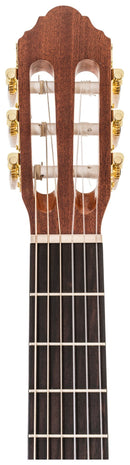 Peavey Delta Woods CNS-CE Classical Nylon String Acoustic-Electric Guitar