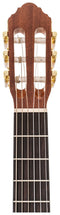 Peavey Delta Woods CNS-CE Classical Nylon String Acoustic-Electric Guitar