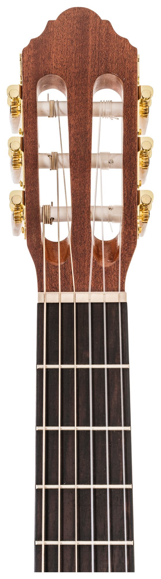 Peavey Delta Woods CNS-CE Classical Nylon String Acoustic-Electric Guitar