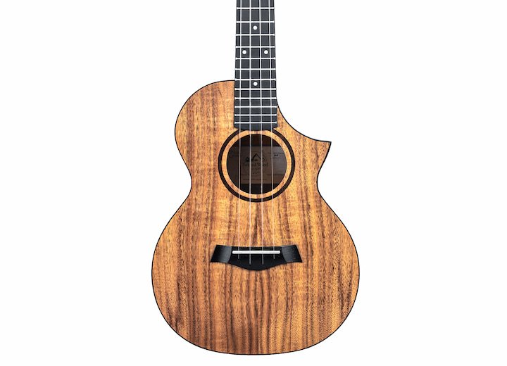 Twisted Wood Switchback Concert Ukulele - Solid Koa Top - SW‑700C