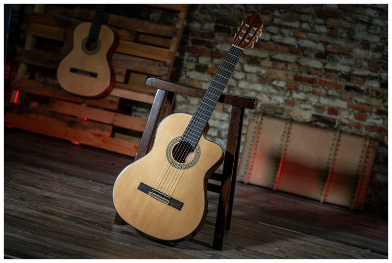 Peavey Delta Woods CNS-CE Classical Nylon String Acoustic-Electric Guitar