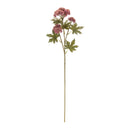 Melrose Sedum Succulent Spray (Set of 6)
