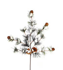 Melrose Snowy Pine Spray (Set of 6)