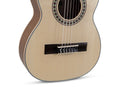 Manuel Rodriguez Ecologia E-53 1/2 Classical Guitar - Spruce/Walnut