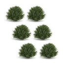 Melrose Spring Grass Half Orb (Set of 6)