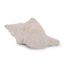 Melrose Sea Shell Filler Decor (Set of 12)