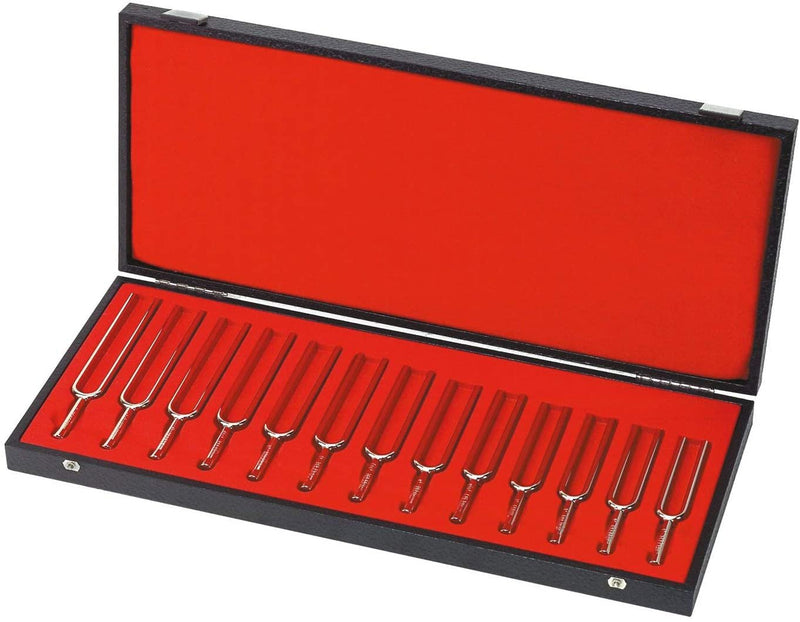 Wittner Chromatic Tuning Fork Set c1–c2 with Case