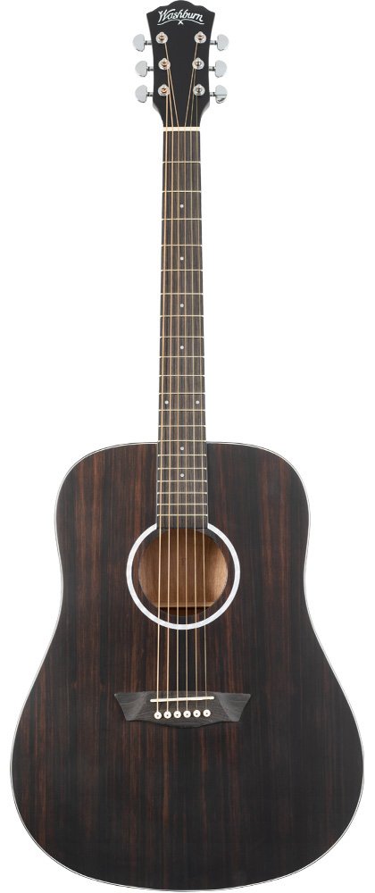 Washburn Deep Forest Ebony D Dreadnought Acoustic Guitar - Striped Ebony