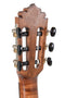 Caballero Europe Spanish Heel 4/4 Classical Guitar - Spruce/Mahogany