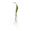Melrose Moss Foliage Vine Branch (Set of 2)